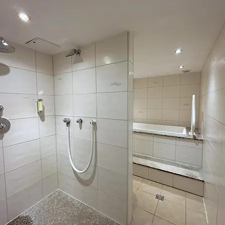 Regiohotel 3* السنبرغ