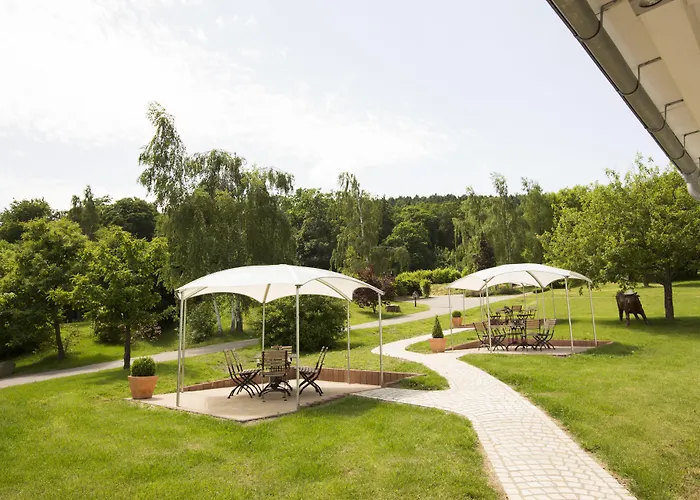 Regiohotel - #panoramablick #wellness #wallbox #grossesabendbuffet Szálloda 3*